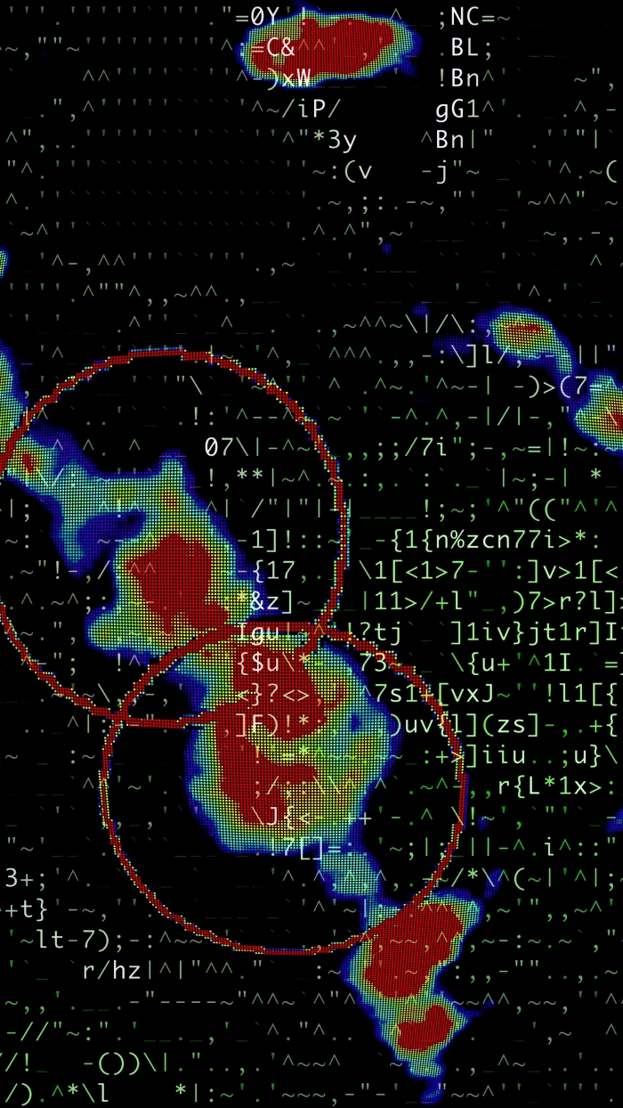 Extrait de la vidéo, Cosmologie du Vivant 2020 