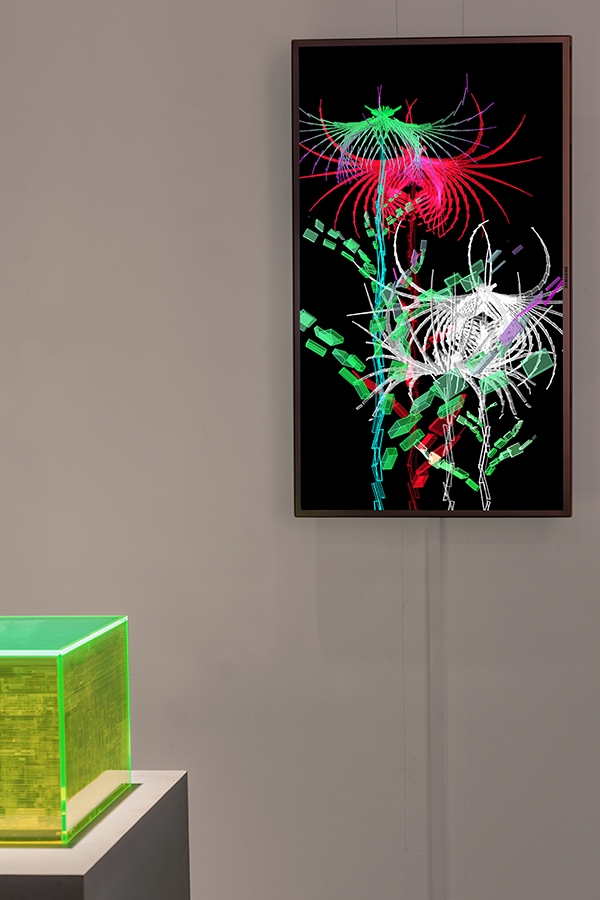 Cleome Spinosa de Buñuel, graine virtuelle de la série Fractal Flowers, écran LCD 50pouces (112 cm x 64 cm), 2013