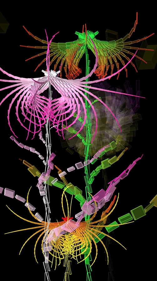 Cleome Spinosa de Buñuel, graine virtuelle de la série Fractal Flowers, écran LCD 50pouces (112 cm x 64 cm), 2013