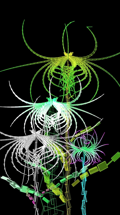 Cleome Spinosa de Buñuel, graine virtuelle de la série Fractal Flowers, écran LCD 50pouces (112 cm x 64 cm), 2013