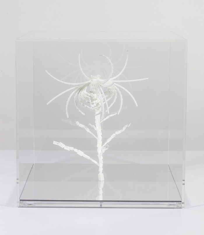 Cleome Spinosa de Buñuel, sculpture par impression 3D de graine virtuelle de la série Fractal Flowers, 2013