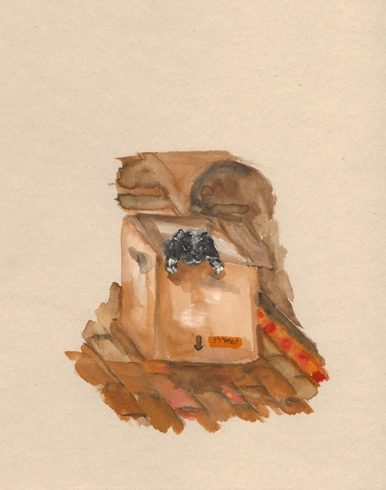 Dog in a box, watercolour on paper, 14 x 19 cm