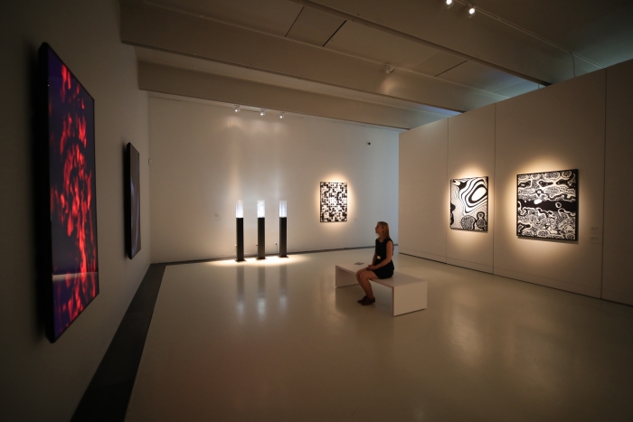 Vue de l’exposition « Pixels Noir Lumière 2019 - Miguel Chevalier », Musée Soulages, Rodez - Commissaire : Christophe Hazemann - Photo Nicolas Gaudelet