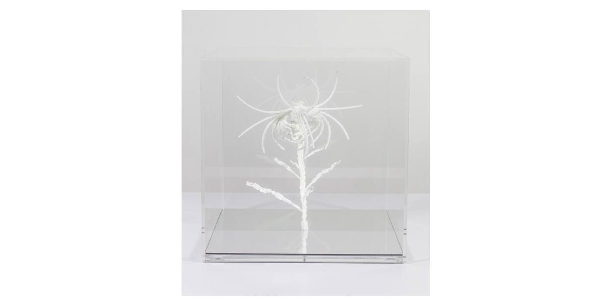 Cleome Spinosa de Buñuel, sculpture par impression 3D de graine virtuelle de la série Fractal Flowers, 2013