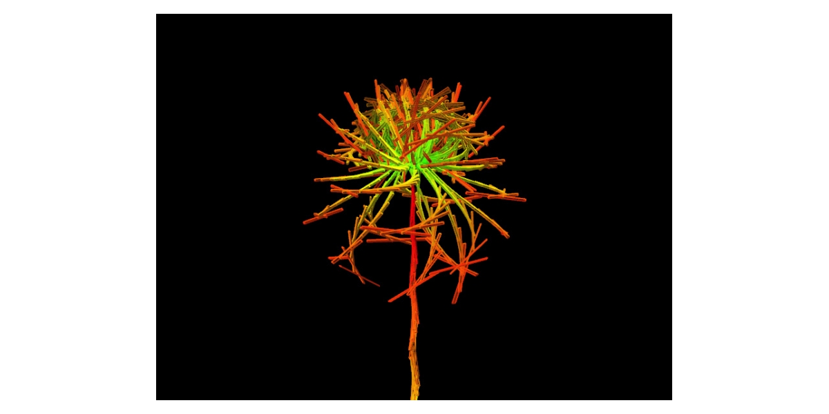 Lenon Nicotiana Tabacum, graine virtuelle de la série Fractal Flowers, écran LCD